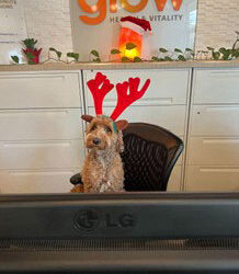 Fall Newsletter 2025